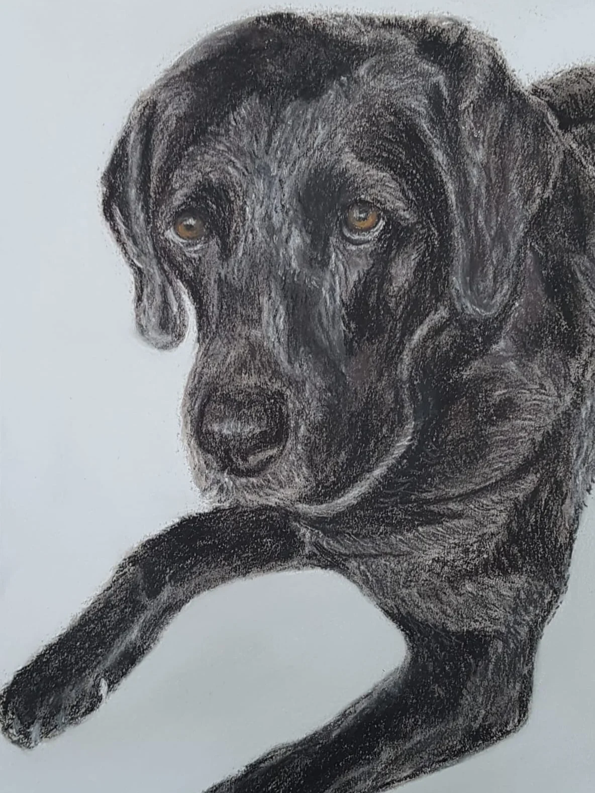 Sam (potloodportret)