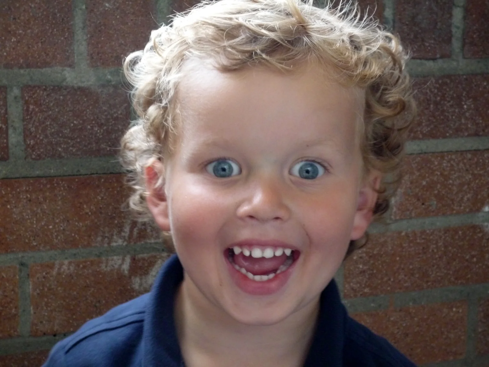 Referentiefoto