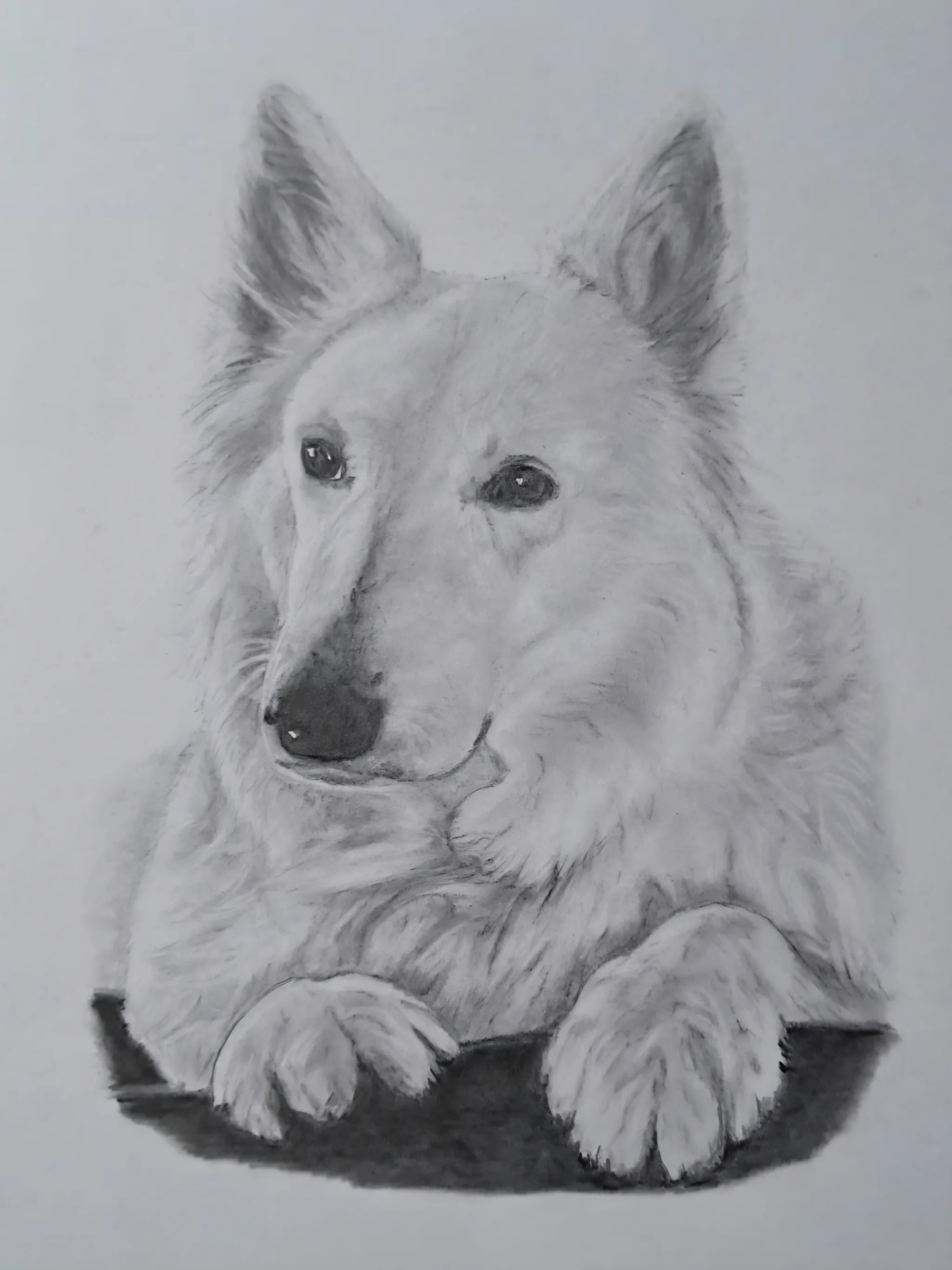 Cathy (potloodportret)